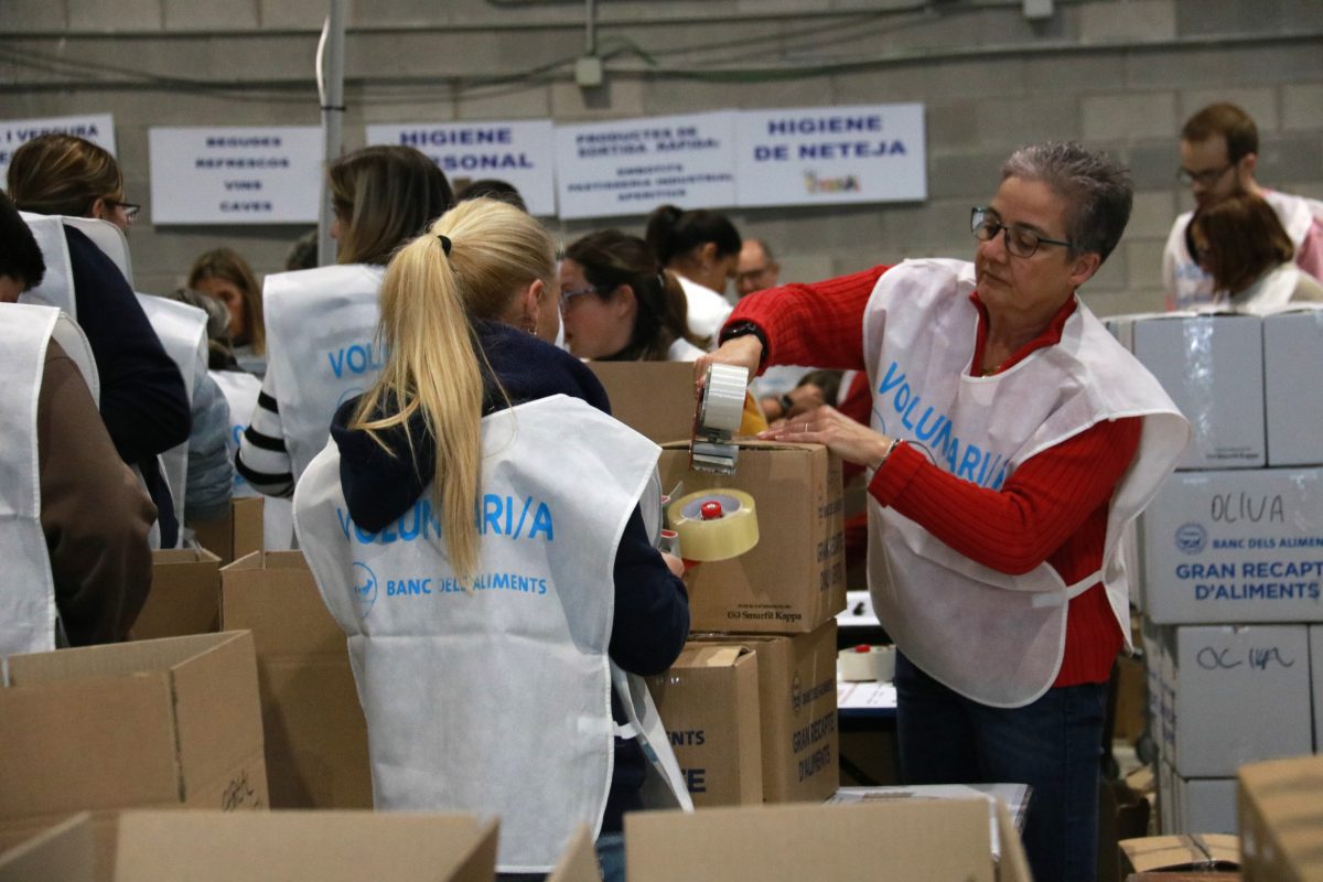 Gran recapte d'aliments, banc d'aliments