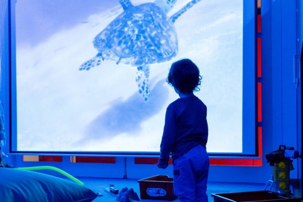 Ludoteca Guitard, Barcelona, digitalización